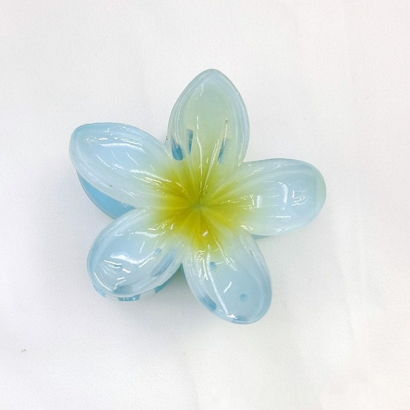 Colorful Flower hair clip