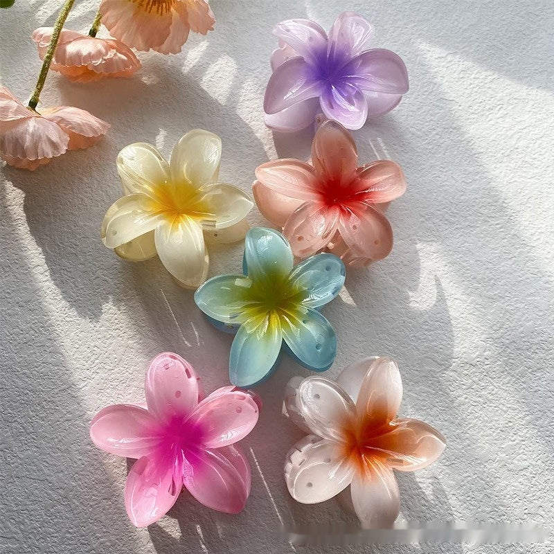 Colorful Flower hair clip