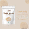 Load image into Gallery viewer, Organic Lion Bristle Mushroom Powder
